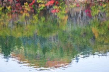 Reflection of autumn forest in the water