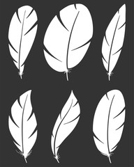 Set of different bird wing feathers. Flying quills symbols. Vector image.
