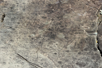 Stone, prehistoric rock paintings, history. Altai antiquity.