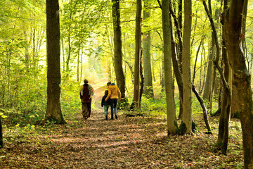 Trail winding through an automnal colored forest. Close-up on walkers in the woods, autumn. Three generations of women. Grandmother, mother and daughter. Mother, daughter and granddaughter.