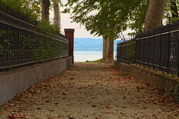 Straight pathway to Lake Balaton and Plane-tree alley between two fences. Lake Balaton, Balatonfoldvar, Hungary