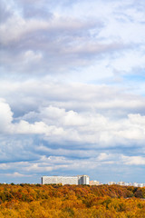 white and gray clouds over yellow city park