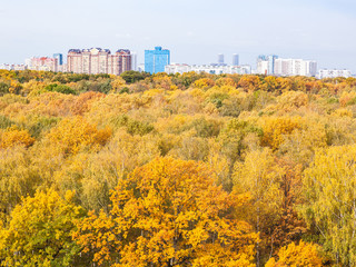 yellow city park and urban houses in autumn