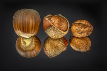 Hazelnut 'Emoa'  (Corylus avvelana 'Emoa')