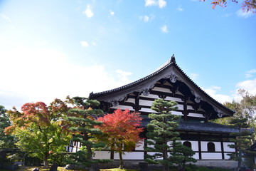 temple in japan