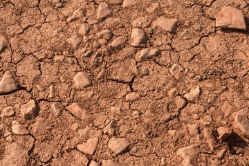 close up of dry cracked soil