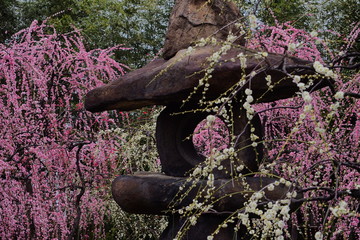 梅の花と石灯篭