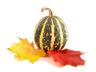  Decorative pumpkins on white background. Autumn fruits.