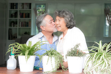 Asian senior couple smile watering plants take care of trees , happy couple gardening - lifestyle...