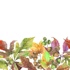 Beautiful autumn leaves on white background. Seamless border. Pattern with space for a text. Watercolor painting. Fabric, wallpaper, bed linen design.