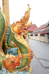 Tecoma 'Orange Jubilee', Orange Jubilee Esperanza, Orangebells, Orange Trumpet Bush
