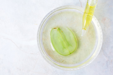 Grape seed oil in pipette and slice of green grape. Pure essential skin care oil. Spa treatment and skin care