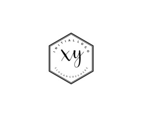  XY Initial handwriting logo vector