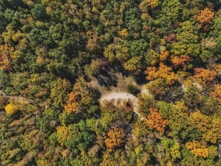 view from the top of the path in the autumn forest
