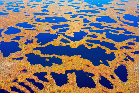 Autumn Landscape. West Siberian Plain. Aerial View. Endless Forests And Swamps Of Siberia.