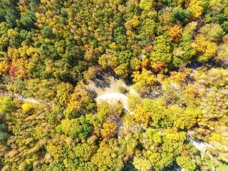 view from the top of the path in the autumn forest