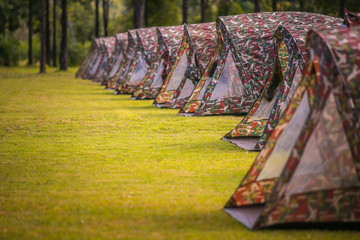 Adventures, camping, tourism and tents under the scenery of pine forest Outdoor in the morning Tourism concept