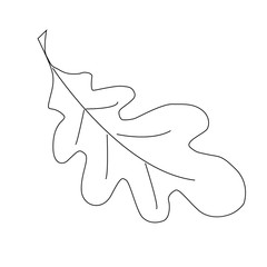 Simple outline drawing of a oak leaf.