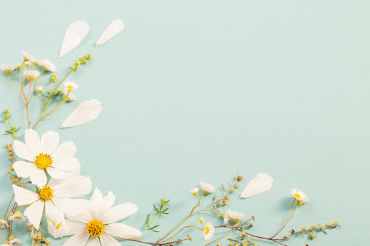 White Flowers On Paper Background