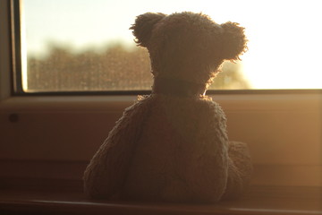 Teddy bear sitting on a window sill looking through the window during the golden hour.