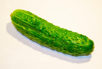 fresh green cucumber on a white background