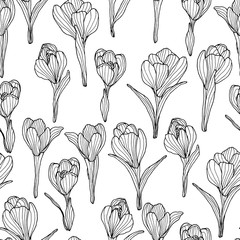 Crocus pattern4