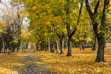 Autumn in  city. Chernihiv. Ukraine