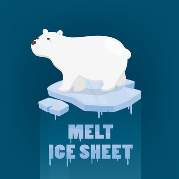 Polar Bear Standing On Melt Ice Sheet On Dark Blue Background.