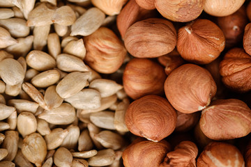 Background of hazelnut and sunflower seeds. 