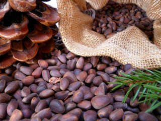 Pine cone and Siberian cedar nuts in the burlap bag. Closeup of pignolia nuts and cedar cones....