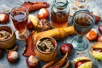Chestnut in herbal medicine