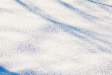 snow background with branch shadows on the frost