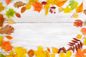 Autumn maple leaves on wooden table.Falling leaves natural background.