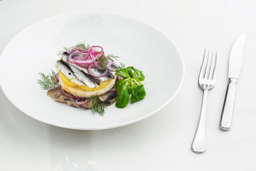 Appetizer food, salted herring, butter and red onion on white plate. Selective focus. Horizontal view from above, top shot. White background.