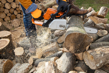 Chainsaw in action cutting wood. Man cutting wood with saw, dust and movements. Chainsaw. Close-up...