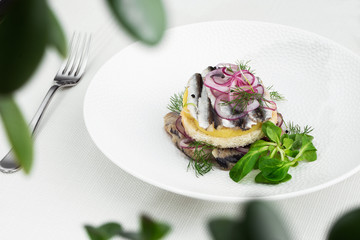 Appetizer food, salted herring, butter and red onion on white plate. Selective focus. Horizontal view from above, top shot. White background.