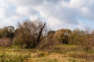 Narwiański Park Narodowy, Bokiny, Podlasie, Polska