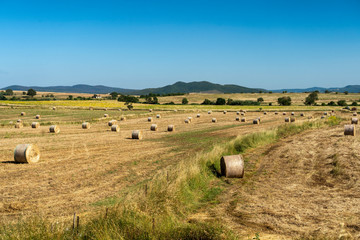 Rural landscape near Tuscania, Lazio