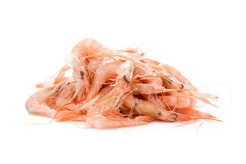 Heap of fresh Mediterranean shrimp isolated on white background. 