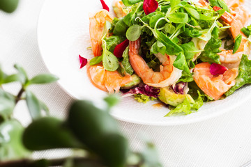 Healthy Salad. Recipe for fresh seafood. Grilled shrimps, prawns, fresh salad lettuce and avocado slices. Healthy Eating. White background. Horizontal photo.