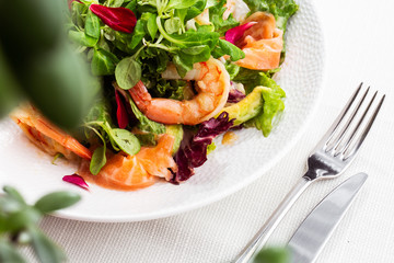 Healthy Salad. Recipe for fresh seafood. Grilled shrimps, prawns, fresh salad lettuce and avocado slices. Healthy Eating. White background. Horizontal photo.