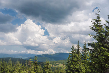 Summer landscape in the Carpathian mountains. View from the mountain peak Hoverla. Ukrainian mountain Carpathian Hoverla