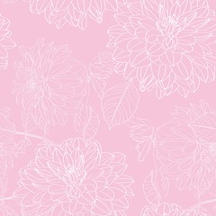 Dahlia. Seamless pattern of pink line dahlia flowers. Floral background.