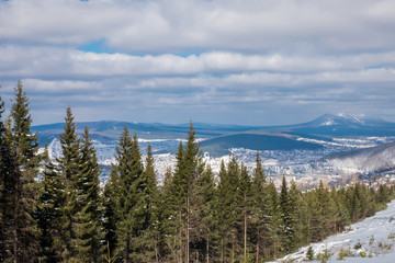beautiful mountain winter landscape. green tall firs and pure white snow on the background. Cloudy sky with blue. Christmas picture for the background