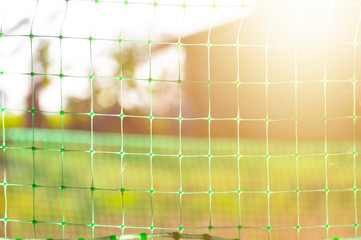Selective focus mesh and natural solar background 