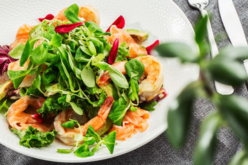 Healthy Salad. Recipe for fresh seafood. Grilled shrimps, prawns, fresh salad lettuce and avocado slices. Healthy Eating. White background. Horizontal photo.