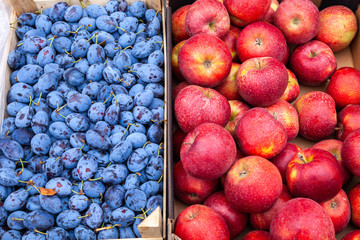 Fresh farmers apples and plums at local outdoor market. Healthy food background. Delicious, ripe and juicy plum and apples on sale at local farmers market