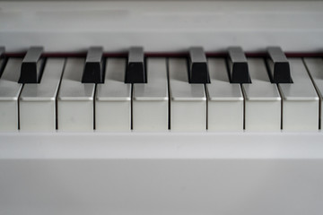 Side shot of piano keys.