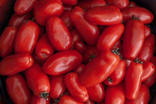 Freshly San Marzano tomatoes, Group of tomatoes Suitable for making background images.