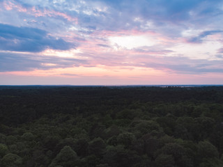 Fototapeta na wymiar Drone shot of the Oxshott, Surrey woodlands at sunrise. Beautiful golden light with hiking trails through the dense trees. 